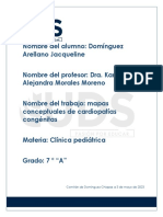 Mapas Conceptuales de Cardiopatías Congénitas