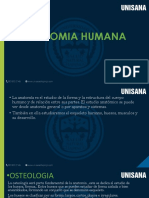 Anatomia para Estudio PDF