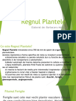 Regnul Plantele