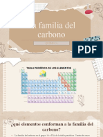 Familia Del Carbono Iva