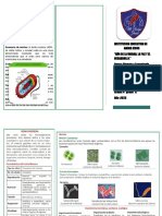 Cincia y Tegnologia 2323232323232323232323232323