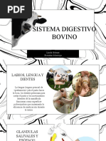 Sistema Digestivo Bovino