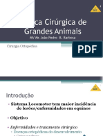 Aula 6 Cirurgia Ortopédica