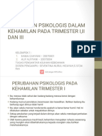 Kelas A Perubahan Psikologis Dalam Kehamilan Pada Trimester I, II Dan