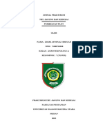 Jurnal 2 Pembuatan Plot