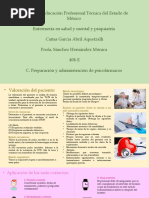 Presentacion Salud Mental