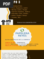 Grupo 3 - Papelera Reyes SAC