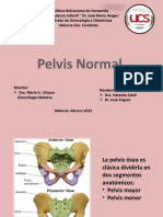 Pelvis