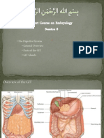 Embryology Course VIII - Digestive System