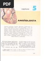 Angiologia PDF