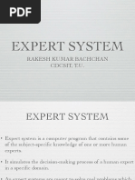 Expert System