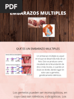 Embarazos Multiples