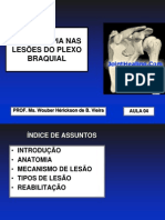 Fisioterapianaslesesdoplexobraquial 091006085120 Phpapp02