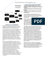 Trabajo Practico N 1 - Fisica - FINES