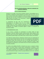 Diagnostico Ambiental de La Región Amazonas y Perfil Del Ciudadano Con Conciencia Ambiental