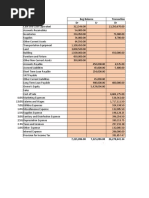 Financial Statement Michelle