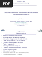 DP Force1718 Propagation-Des-Fissures Noels