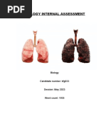 Final Bio IA