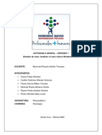 Actividad 2 Grupal - Estudio de Caso Elizabeth Von R PDF