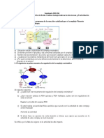 Seminario CKrebs - CTE - OX PIRUVATO