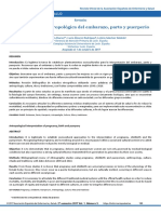 49-Texto Del Artículo-123-1-10-20191023 PDF