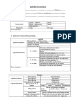 Examen Ortofonico