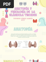 Presentación Glándula Tiroides PDF