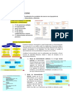 Sistema Financiero