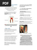 Aula 01 - Anatomia Das Cavidades Endodônticas