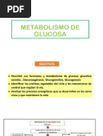 2-08-2022 Metab Glucosa