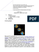 ȘDDȘ Curs Nr. 5