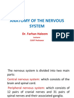 1 Anatomy of The Nervous System