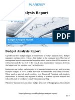 Budget Analysis Report