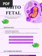 Obito Fetal Ale y Monse