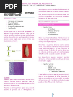 Clase 22 - Protección Del CPD