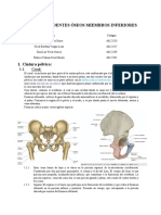 Taller Accidentes Óseos Miembros Inferiores