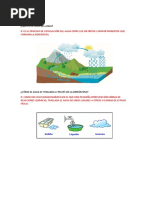 Potabilización Del Agua