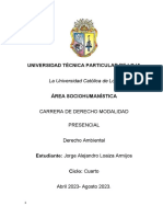 Derecho Ambiental Principios, Ensayo Terminado