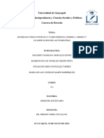 Sociedad Como Contrato y Como Persona Juridica. Origen y Clasificacion de Las Compañias