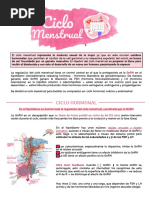 R - CICLO MENSTRUAL-comprimido