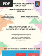 Eliminación de Desechos Metabólicos Por El Sistema Renal