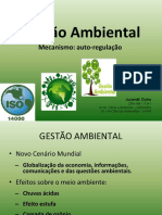 Gestão Ambiental: Mecanismo: Auto-Regulação