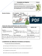 TP19 SANTE Formulation Médicaments