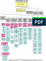 Organigramme Cica-Re Adopte 133e-Ca Visioconference 27062020