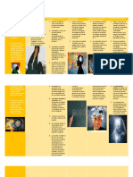 Cuadro Comparativo