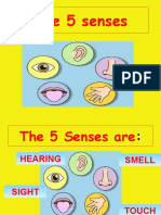 My Five Senses Conversation Topics Dialogs Fun Activities Games 42578