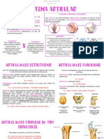 Sistema Articular