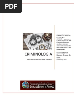 Ensayo Curso Criminologia