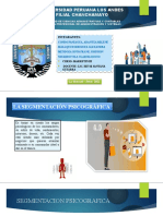 Marketing Segmentacion Psicografica 1