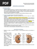 Fisiologia Renal Clase Viernes 24 de Marzo. Introducción Fisiologia Renal